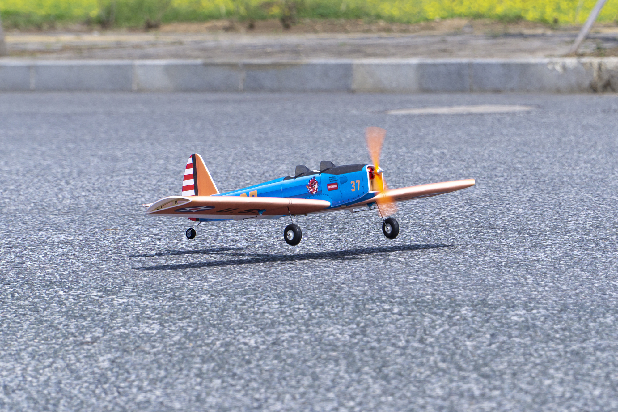 DW Hobby 900mm Wingspan PT-19  - огляд і ціна Rc Hobby Plane