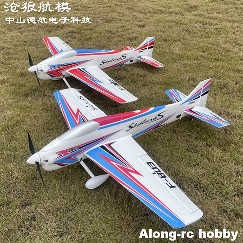 F803  F3A Skylarks 1000mm Wing - огляд і ціна Rc Hobby Plane