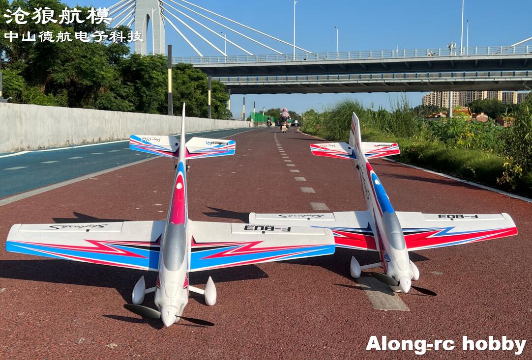 F803  F3A Skylarks 1000mm Wing - огляд і ціна Rc Hobby Plane