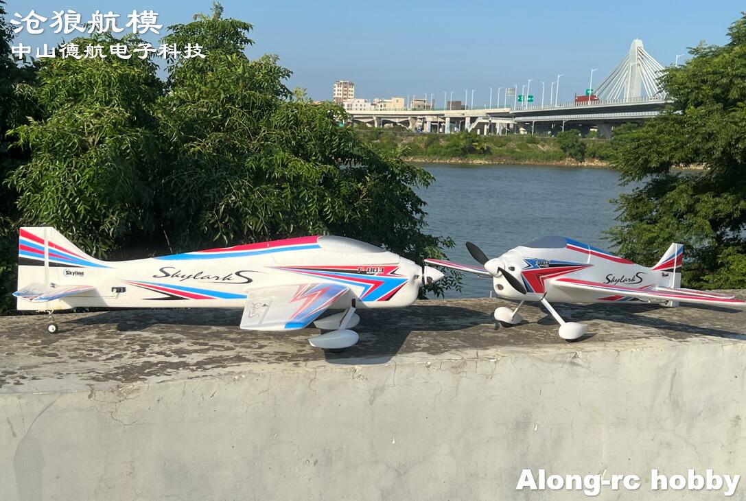 F803  F3A Skylarks 1000mm Wing - огляд і ціна Rc Hobby Plane
